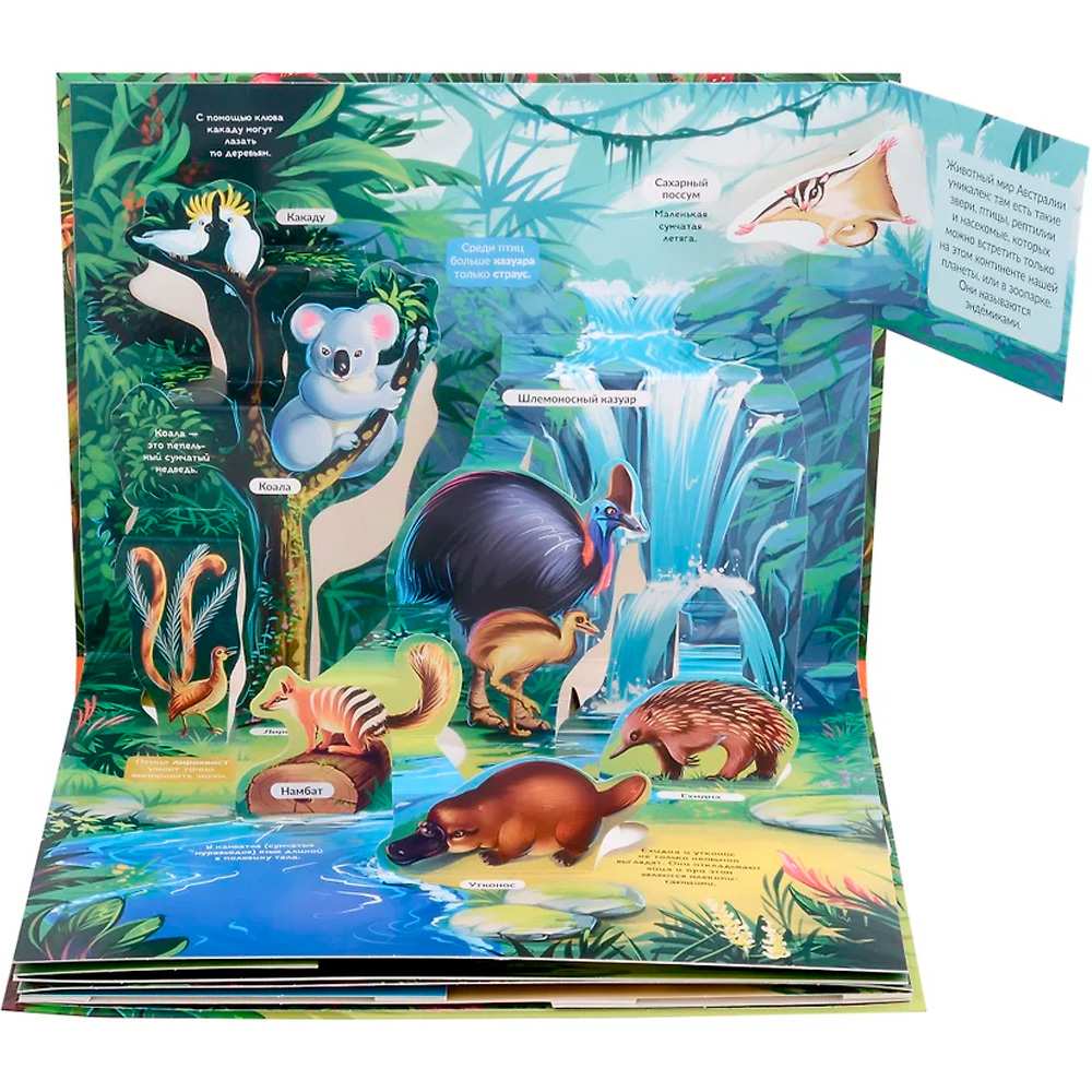 Книга 9785001347323 POP-UP энциклопедия. Джунгли книжка панорамка (интегральная) Книга 9785001347323 POP-UP энциклопедия. Джунгли книжка панорамка (интегральная)