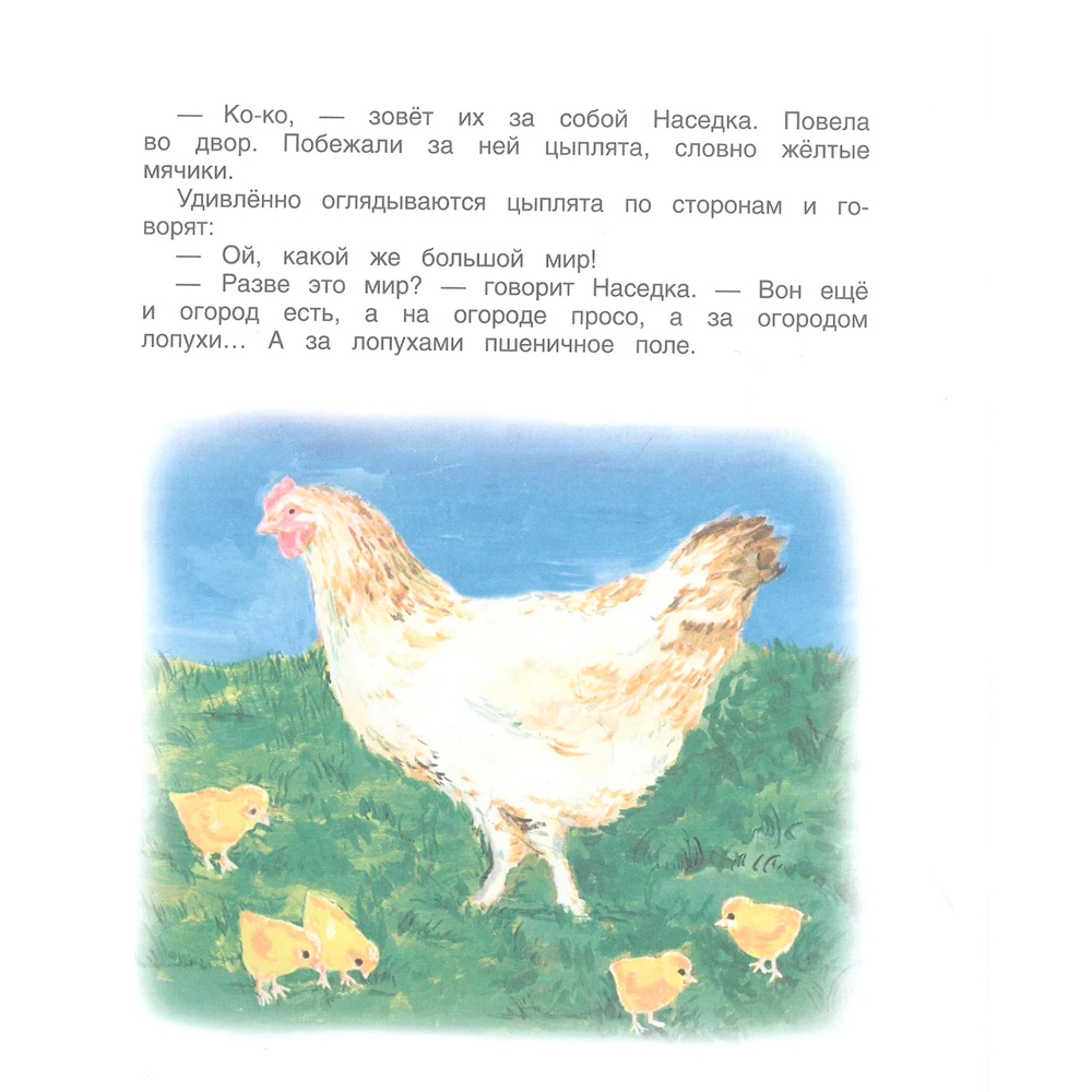 Книга 978-5-353-09811-9 Сухомлинский В. Всё в лесу поёт (Читаем от 3 до 6 лет) Книга 978-5-353-09811-9 Сухомлинский В. Всё в лесу поёт (Читаем от 3 до 6 лет)