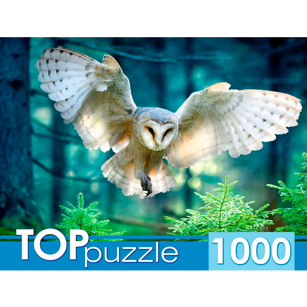 Пазл 1000 ПОЛЕТ СОВЫ ШТ1000-3870 Пазл 1000 ПОЛЕТ СОВЫ ШТ1000-3870