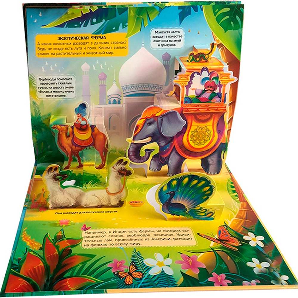 Книга 9785001347279 POP UP энциклопедия. Ферма книжка-панорамка Книга 9785001347279 POP UP энциклопедия. Ферма книжка-панорамка