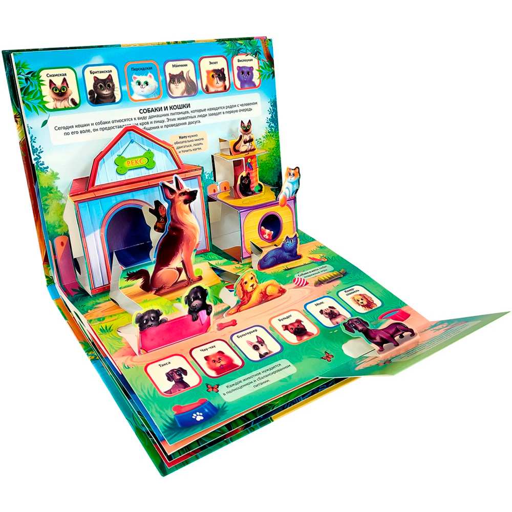 Книга 9785001347279 POP UP энциклопедия. Ферма книжка-панорамка Книга 9785001347279 POP UP энциклопедия. Ферма книжка-панорамка