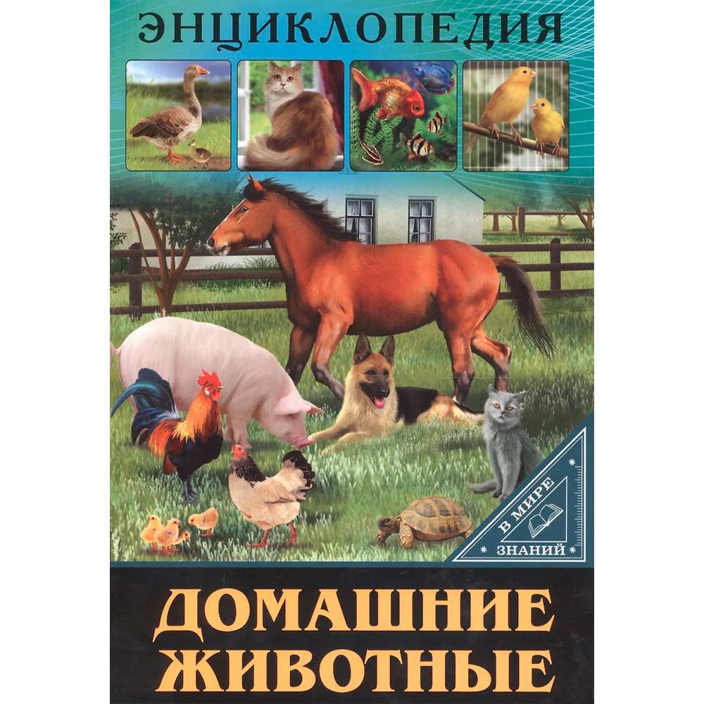 Книга Энциклопедия В Мире знаний 978-5-378-27606-6 Домашние животные Книга Энциклопедия В Мире знаний 978-5-378-27606-6 Домашние животные