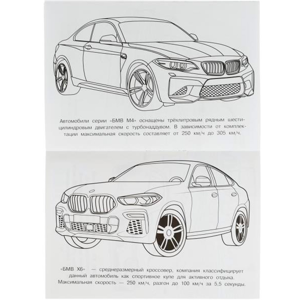 Раскраска 9785506076209 БМВ. Раскраска Малышка 16 заданий /100/ Раскраска 9785506076209 БМВ. Раскраска Малышка 16 заданий /100/