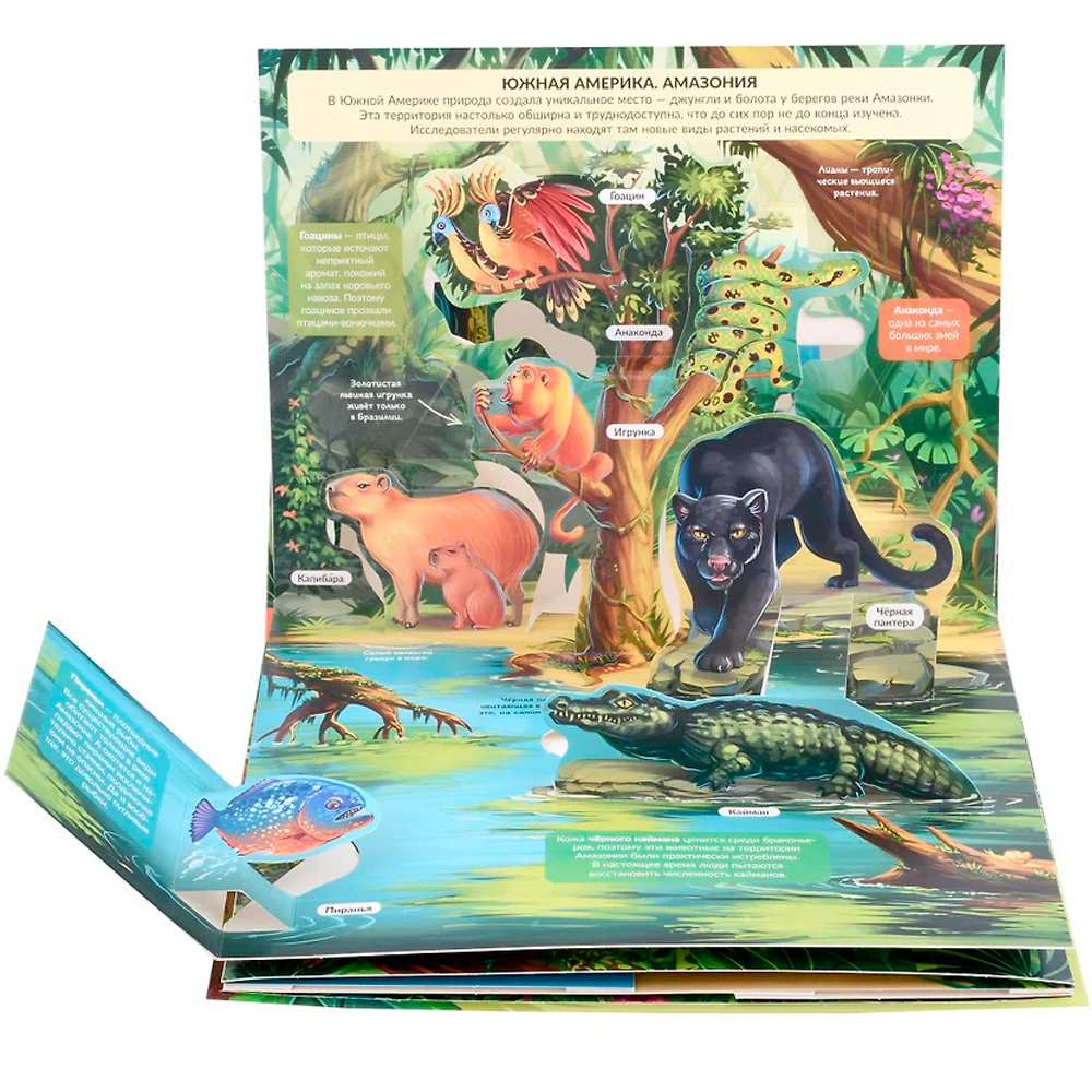Книга 9785001347323 POP-UP энциклопедия. Джунгли книжка панорамка (интегральная) Книга 9785001347323 POP-UP энциклопедия. Джунгли книжка панорамка (интегральная)