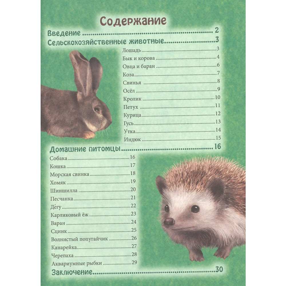 Книга Энциклопедия В Мире знаний 978-5-378-27606-6 Домашние животные Книга Энциклопедия В Мире знаний 978-5-378-27606-6 Домашние животные